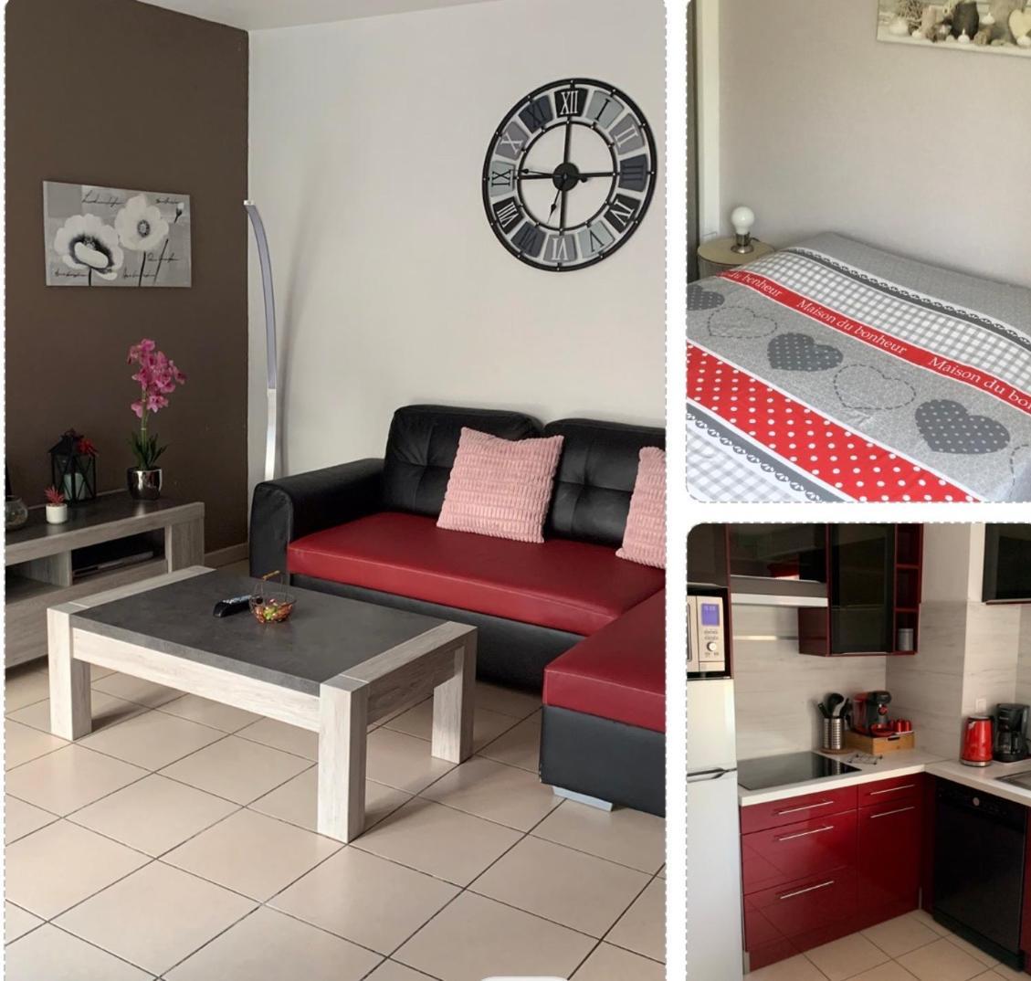 L Edelweiss Et Sa Piscine Apartment Albertville Ngoại thất bức ảnh