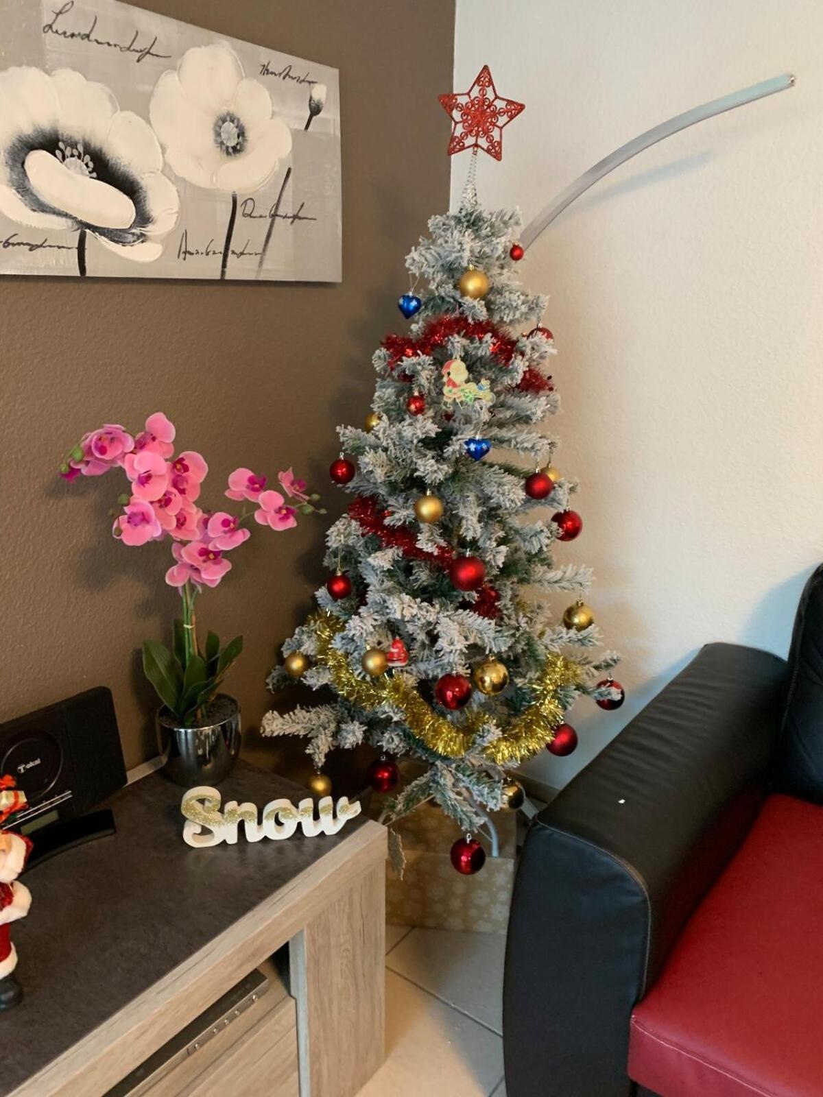 L Edelweiss Et Sa Piscine Apartment Albertville Ngoại thất bức ảnh