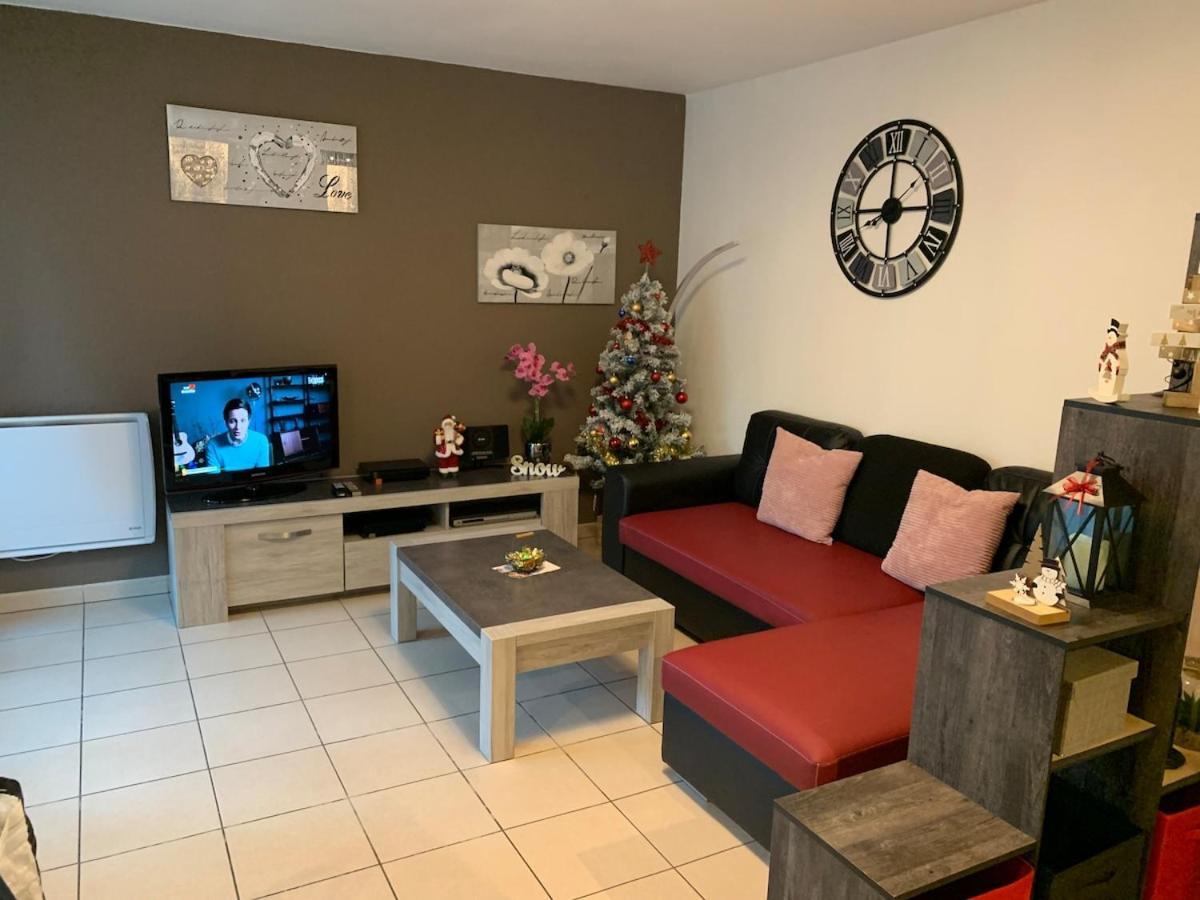 L Edelweiss Et Sa Piscine Apartment Albertville Ngoại thất bức ảnh