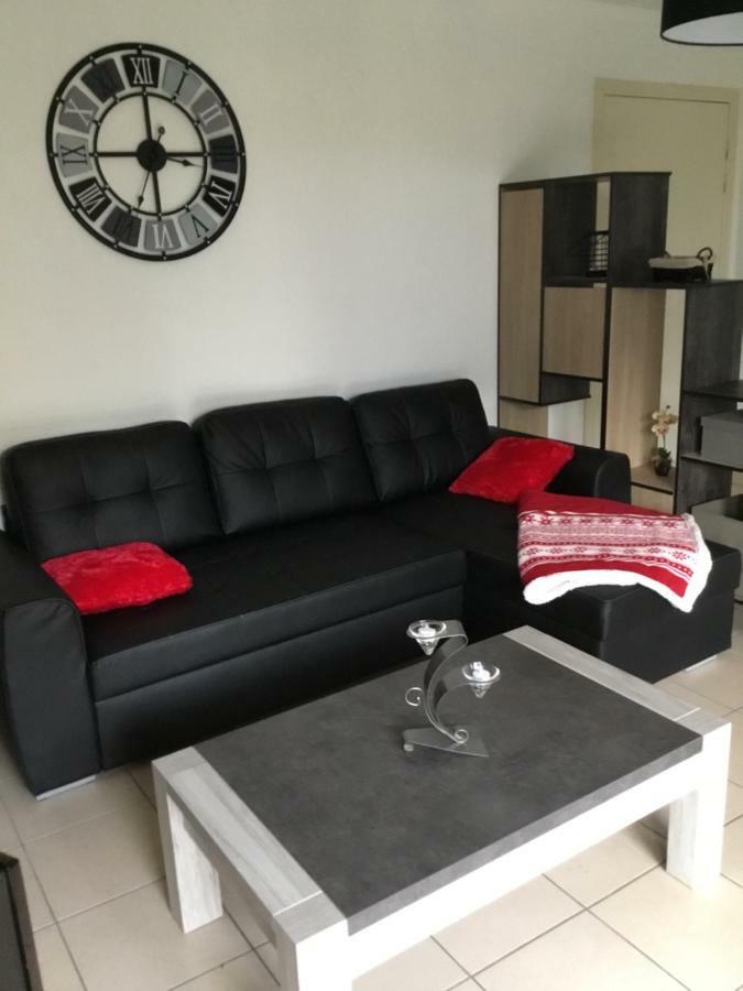 L Edelweiss Et Sa Piscine Apartment Albertville Ngoại thất bức ảnh