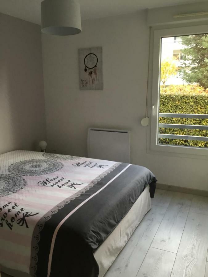 L Edelweiss Et Sa Piscine Apartment Albertville Ngoại thất bức ảnh